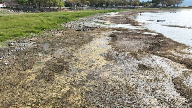 İznik Gölü kuruyor: Cargill'in yer altı sularından yılda 1 milyon metreküpten fazla su çektiği ileri sürülüyor