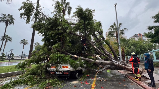 Mersin'de devrilen ağaç, seyir halindeki 3 araca zarar verdi