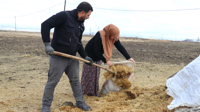 Gelin gittiği Ağrı'da köye ayak uyduran kadın besicilikte örnek oluyor