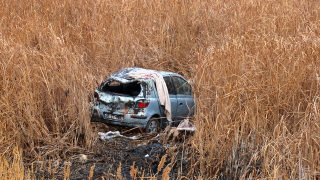 Van'da otomobilin sazlık alana düşmesi sonucu 5 kişi yaralandı