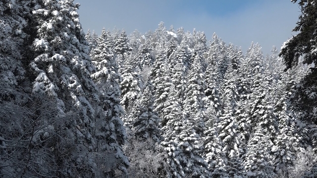 Uludağ'da göz gözü görmüyor
Uludağ'ın zirvesi sisle kaplandı
Kar yağışının olmadığı Uludağ'da sis görüş mesafesini 5 metreye kadar düşürdü