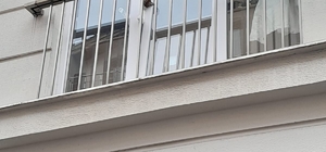 Başı pencereye sıkışan kedi için kurtarma operasyonu