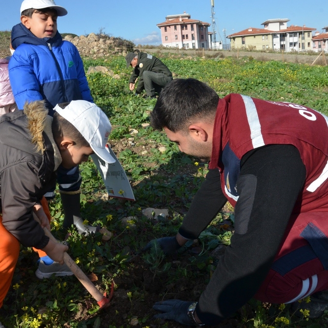 Manisa'da yanan alanlara 100 bininci fidan dikildi