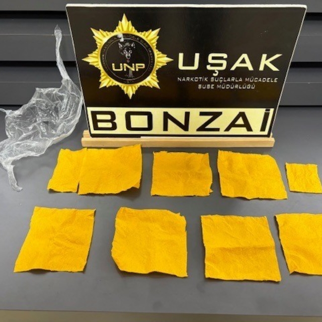 Uşak'ta çok sayıda uyuşturucu madde ele geçirildi