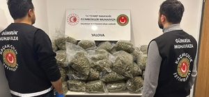 Fransa'dan Yalova'ya gemiyle gelen tırda 37 kilo uyuşturucu ele geçirildi