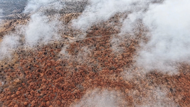 Çankırı'da sis ve kızıla bürünen ormanların buluşması mest etti