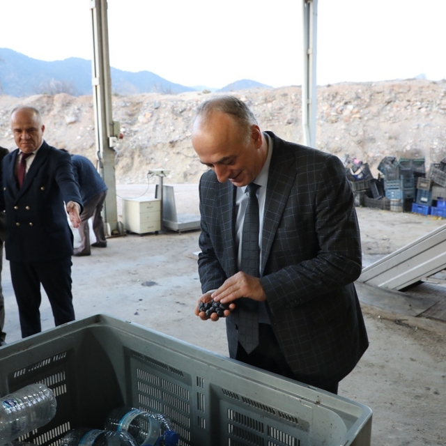 Sarıcakaya zeytinle ön plana çıkıyor