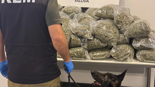 Fransa'dan gemiyle Yalova'ya gelen tırda 37 kilo 742 gram esrar ele geçirildi