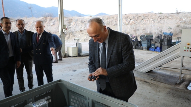 Sarıcakaya zeytinle ön plana çıkıyor