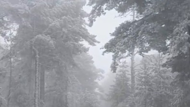 Eskişehir'e mevsimin ilk karı yağdı