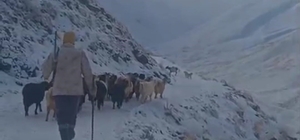 Ağrı'da kar ve tipi hayatı durdurdu
Eleşkirt'te 3 köy yolu ulaşıma kapandı,...