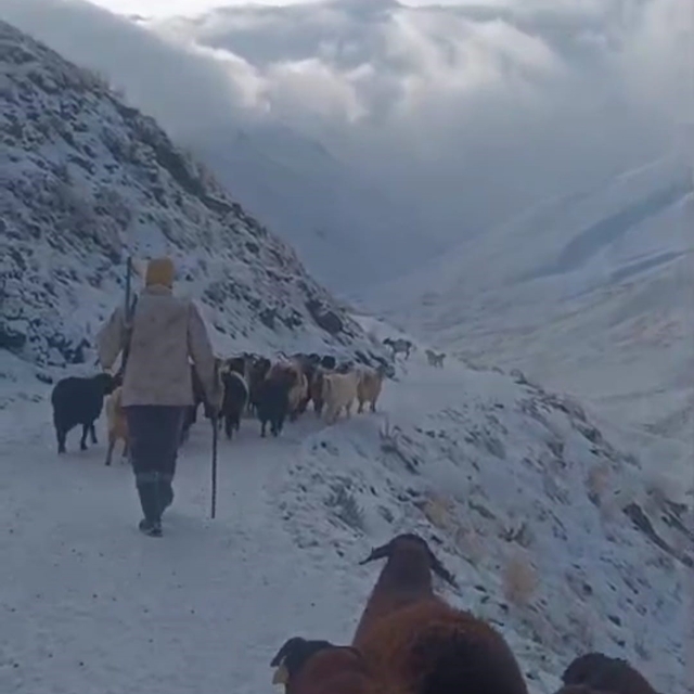 Ağrı'da kar ve tipi hayatı durdurdu
Eleşkirt'te 3 köy yolu ulaşıma kapandı,...