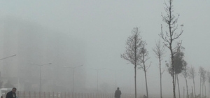 Diyarbakır'da sis nedeniyle uçak seferleri aksadı