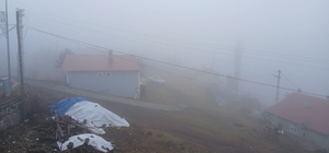 Posof'ta yoğun sis etkiliyor oluyor