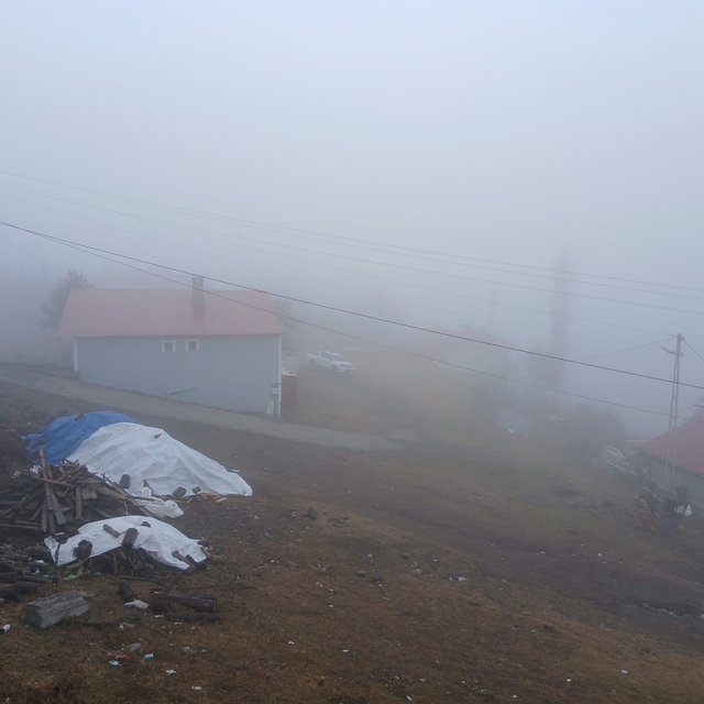 Posof'ta yoğun sis etkiliyor oluyor