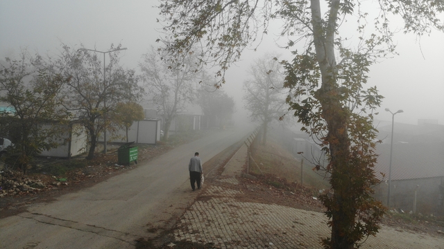 Kahramanmaraş'ta sis etkili oldu