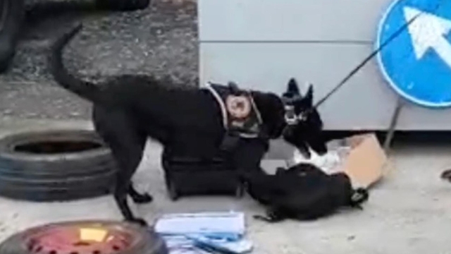 Erzincan'da 1 kilo kokain ele geçirildi