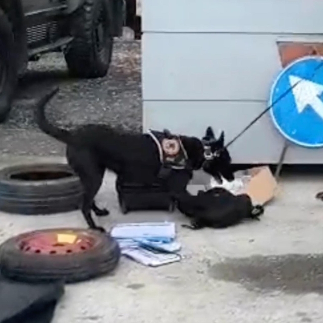 Erzincan'da 1 kilo kokain ele geçirildi