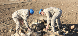 Kesik baş ile suç aleti bıçağın bulunması için her taşın altı kontrol edili...