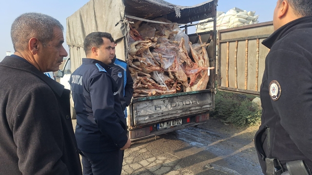 Gaziantep'te 1 ton 900 kilogram bozulmuş et imha edildi
