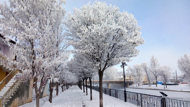Bayburt'un Arpalı Beldesi güne kar yağışıyla uyandı