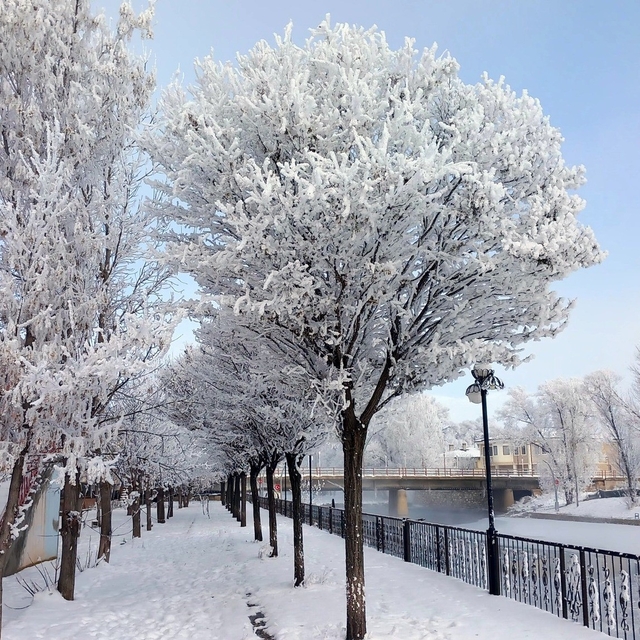 Bayburt'un Arpalı Beldesi güne kar yağışıyla uyandı