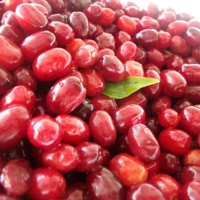 Soğuk algınlığına doğal çözüm: Kızılcık