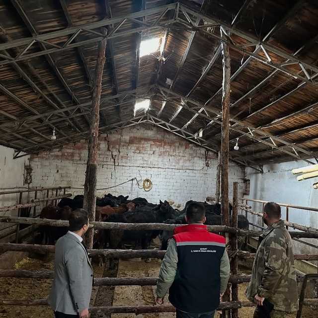 Aydıntepe'de hayvancılığa destek projesinde ilk hayvan teslimi yapıldı