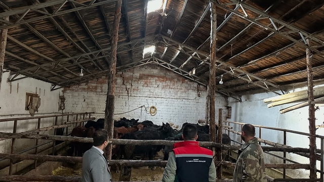 Aydıntepe'de hayvancılığa destek projesinde ilk hayvan teslimi yapıldı