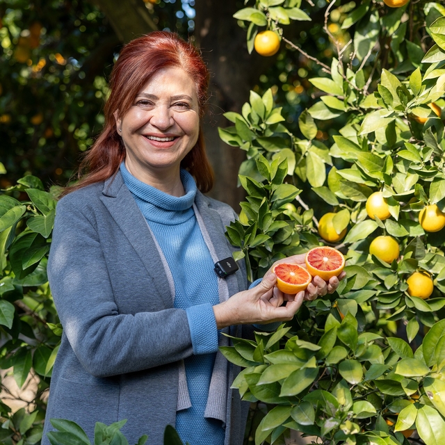 Mersin kan portakalında hedef AB tescili