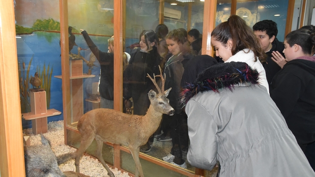 Öğrenciler hayvan müzesini ilgi ile gezdi