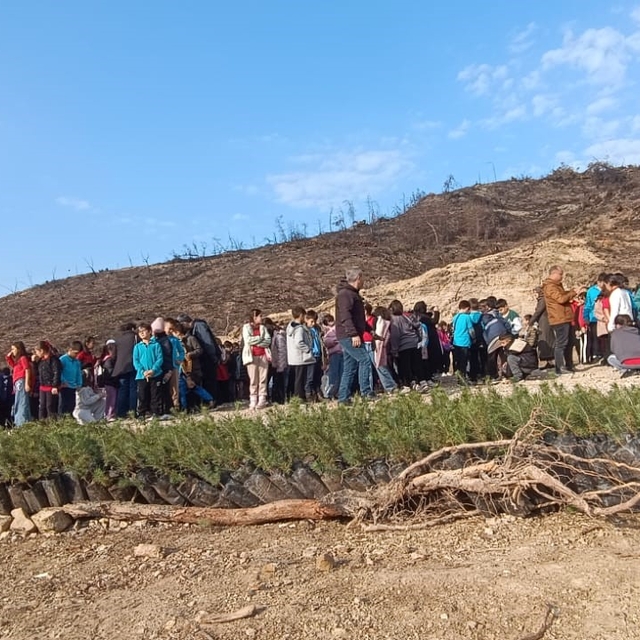 Öğrenciler, orman yangınında zarar gören alana fidan dikti