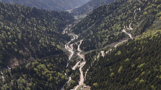 Karadeniz'de yağış değişimi alarmı; orman varlığı gençleştiriliyor