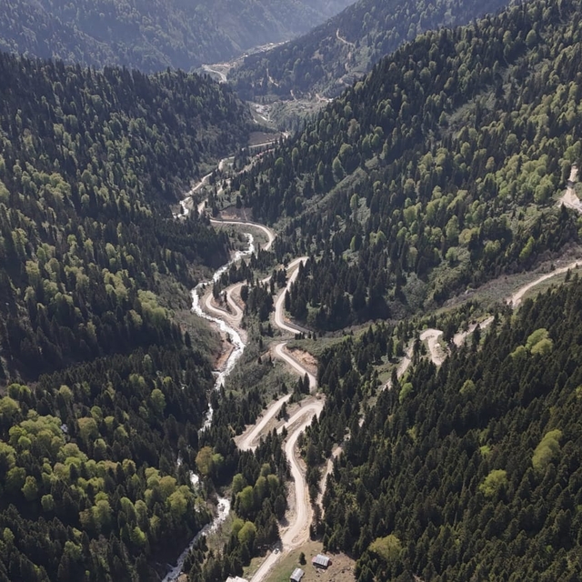 Karadeniz'de yağış değişimi alarmı; orman varlığı gençleştiriliyor