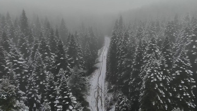 Karabük'ün yüksek kesimleri beyaza büründü