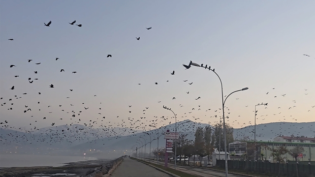 Tatvan sahilinde gökyüzünde sıra dışı manzara