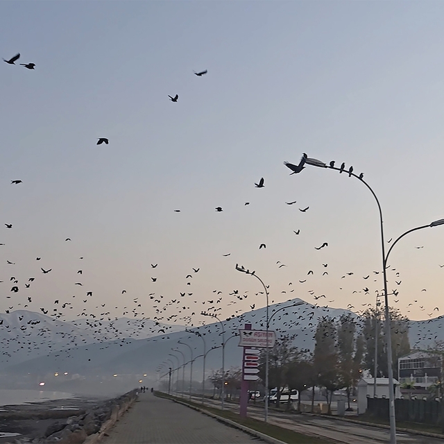 Tatvan sahilinde gökyüzünde sıra dışı manzara