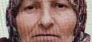 Bilecik'te kaybolan yaşlı kadını jandarma buldu