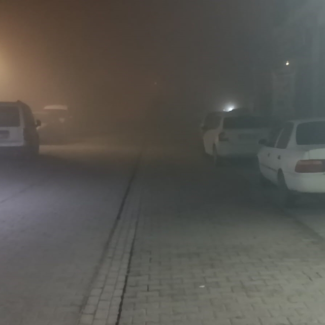 Şanlıurfa'da gece boyu yoğun sis etkili oldu