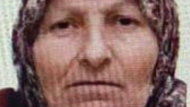 Bilecik'te kaybolan yaşlı kadını jandarma buldu