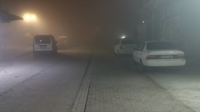 Şanlıurfa'da gece boyu yoğun sis etkili oldu