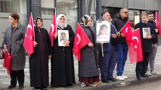 Vanlı annelerin evlat nöbeti 114'üncü haftasında