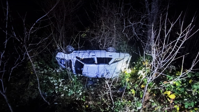 Artvin'de uçuruma devrilen otomobildeki 4 kişi yaralandı
