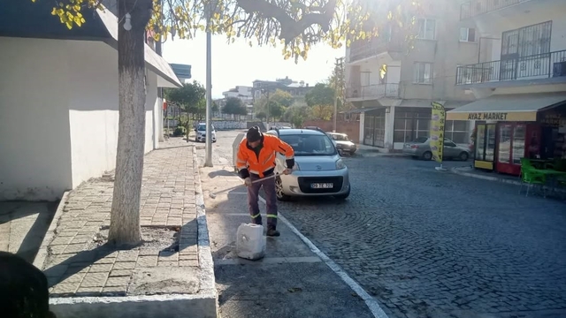 Germencik'te kireçleme ve ağaç budama çalışması