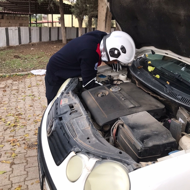 Üşüyen kedi, otomobilin motoruna girdi