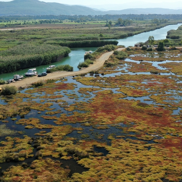 Gökçe Sulak alanı yeniden canlanıyor