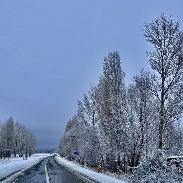 Gökçedere'de kar yağışı sonrası ağaçlar beyaz örtüyle kaplandı