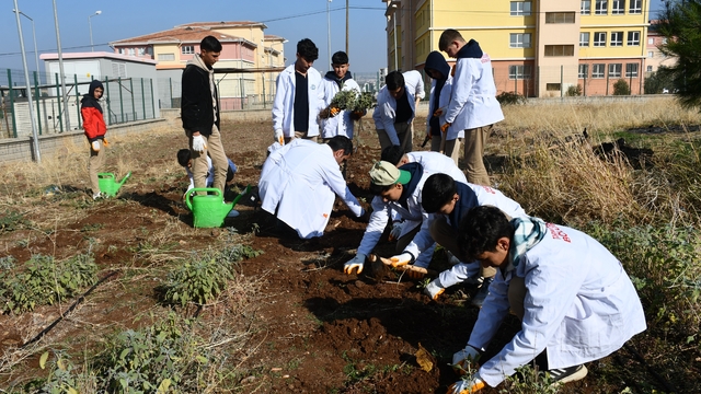 Öğrencilere 'tohumdan sofraya' tarım eğitimi
Geleneksel ürünlere alternatif yetiştiriyorlar