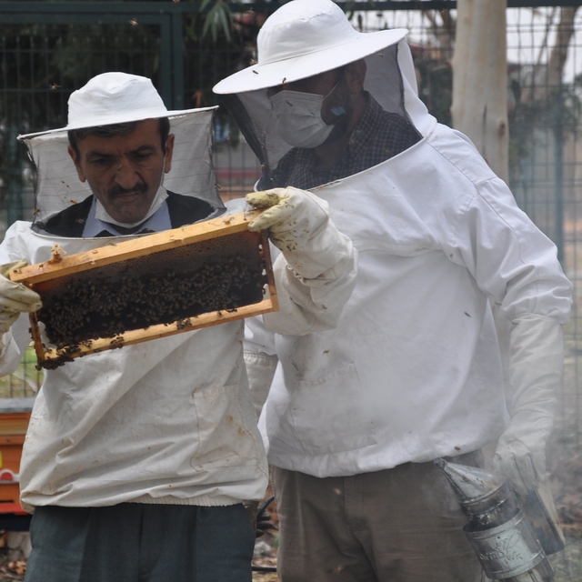 'İyi bal donar, mutlaka sıvı olması gerekmiyor'