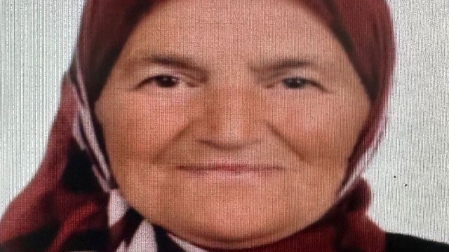 Kayıp kadını arama çalışmalarında 2'nci gün